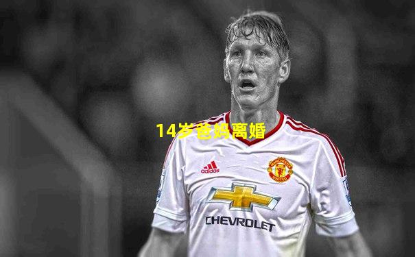 14岁爸妈离婚