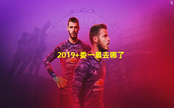 2019+娄一晨去哪了