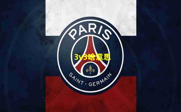 3v3啥意思