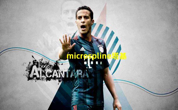 microspline塔基