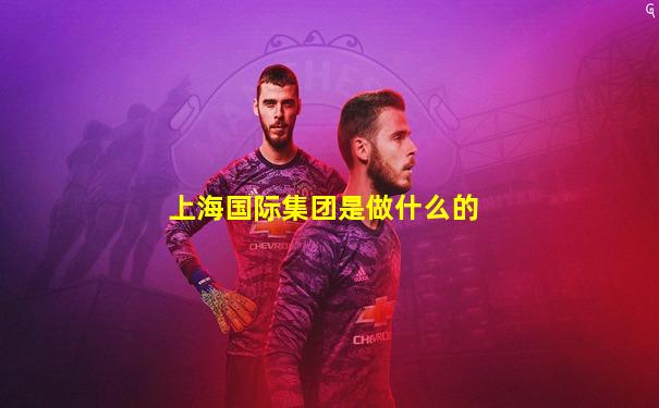 上海国际集团是做什么的