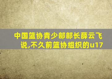 中国篮协青少部部长薛云飞说,不久前篮协组织的u17