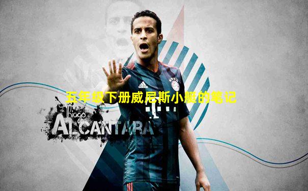 五年级下册威尼斯小艇的笔记
