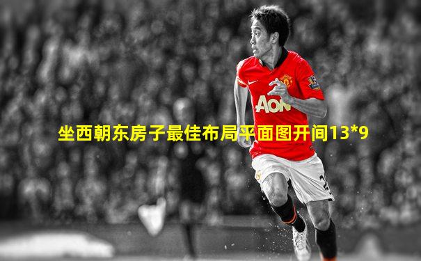 坐西朝东房子最佳布局平面图开间13*9