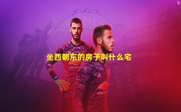 坐西朝东的房子叫什么宅