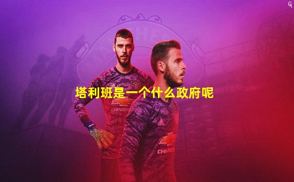 塔利班是一个什么政府呢