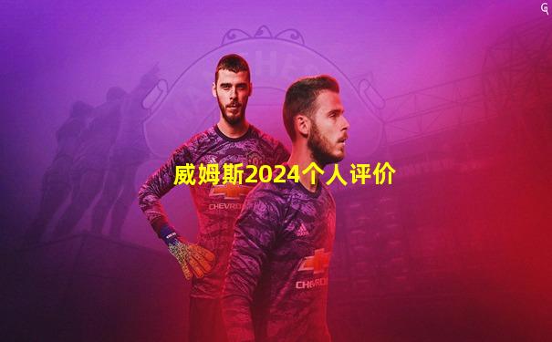 威姆斯2024个人评价