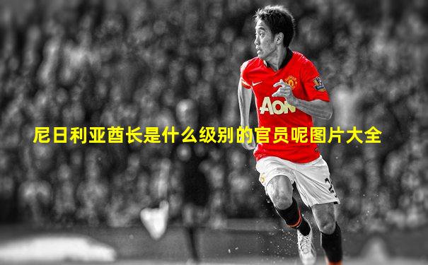 尼日利亚酋长是什么级别的官员呢图片大全