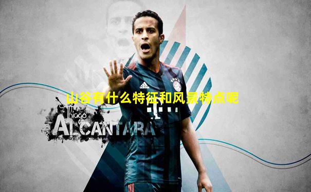 山谷有什么特征和风景特点呢