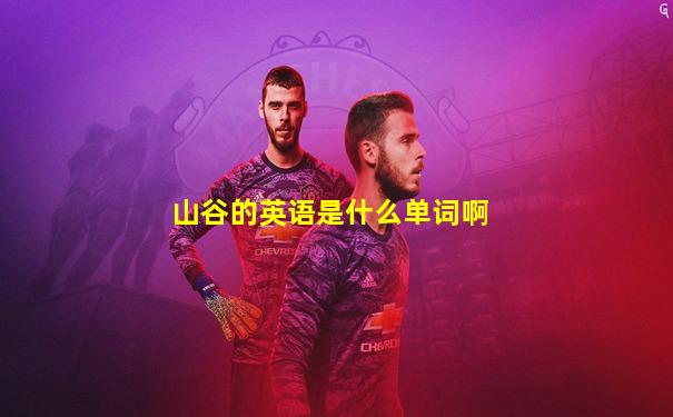 山谷的英语是什么单词啊