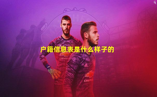 户籍信息表是什么样子的