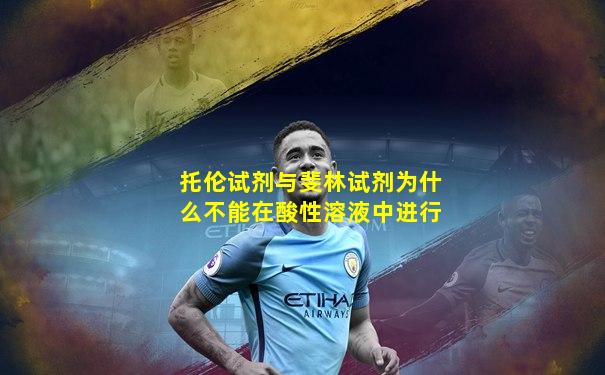 托伦试剂与斐林试剂为什么不能在酸性溶液中进行