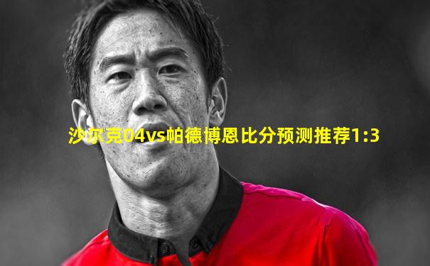 沙尔克04vs帕德博恩比分预测推荐1:3