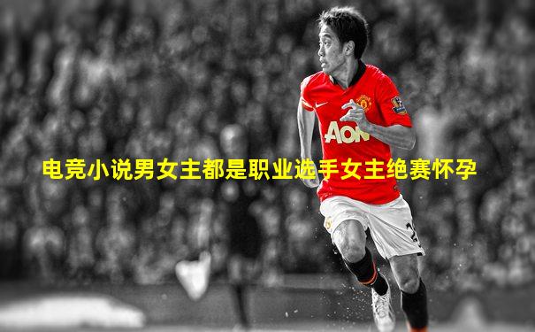 电竞小说男女主都是职业选手女主绝赛怀孕