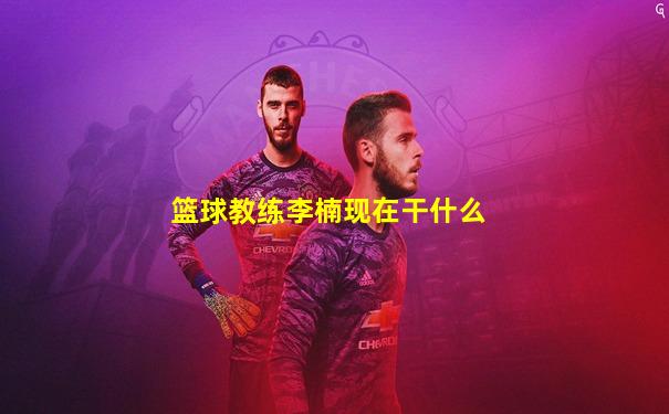篮球教练李楠现在干什么