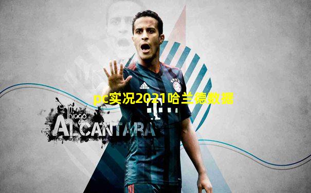 pc实况2021哈兰德数据