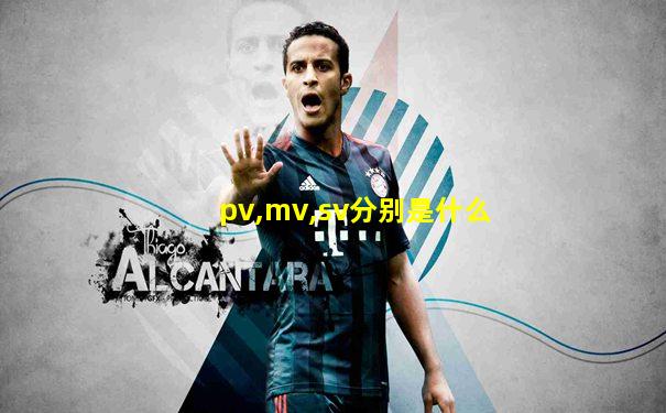 pv,mv,sv分别是什么
