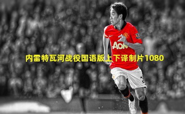 内雷特瓦河战役国语版上下译制片1080