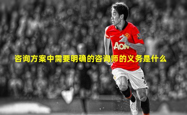 咨询方案中需要明确的咨询师的义务是什么