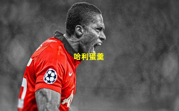 哈利蛋羹