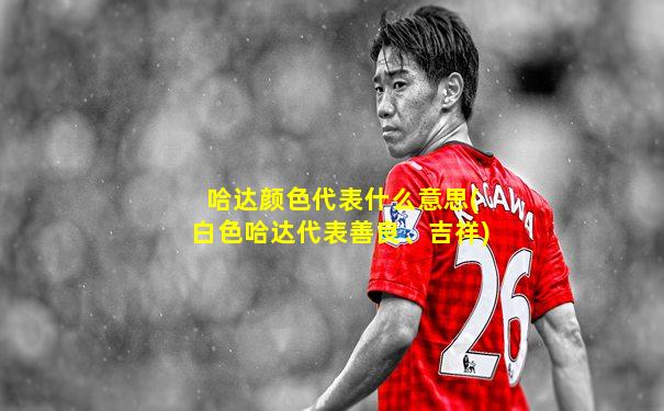 哈达颜色代表什么意思(白色哈达代表善良、吉祥)