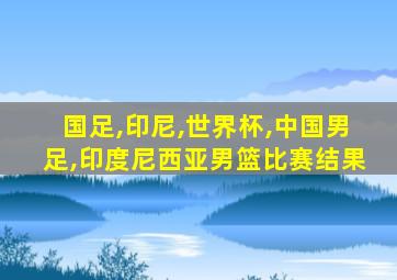 国足,印尼,世界杯,中国男足,印度尼西亚男篮比赛结果