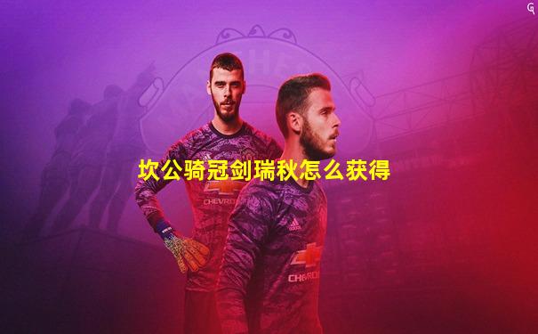 坎公骑冠剑瑞秋怎么获得