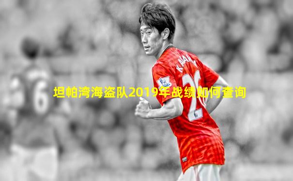 坦帕湾海盗队2019年战绩如何查询