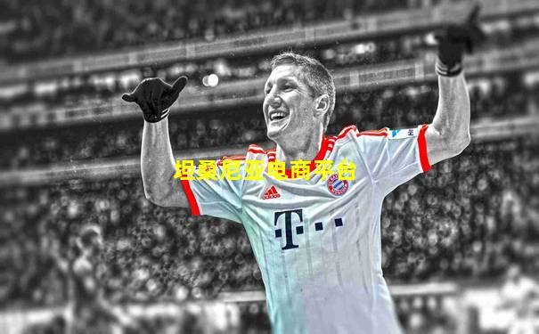 坦桑尼亚电商平台