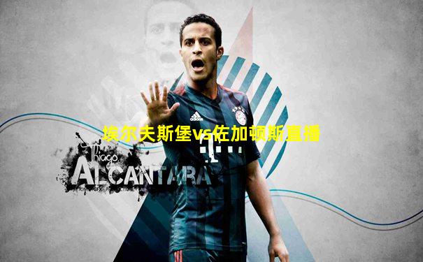埃尔夫斯堡vs佐加顿斯直播
