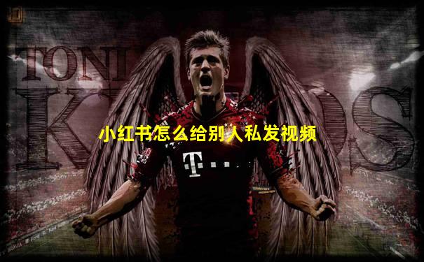 小红书怎么给别人私发视频