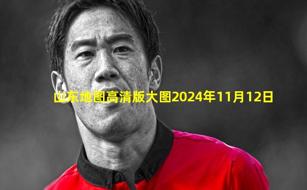 山东地图高清版大图2024年11月12日