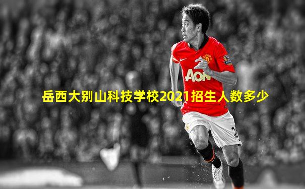 岳西大别山科技学校2021招生人数多少