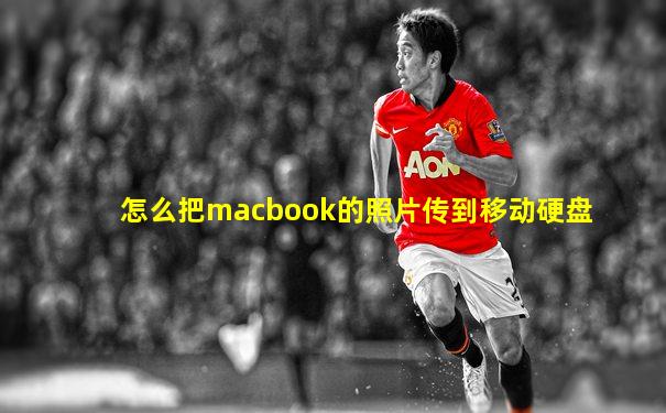 怎么把macbook的照片传到移动硬盘
