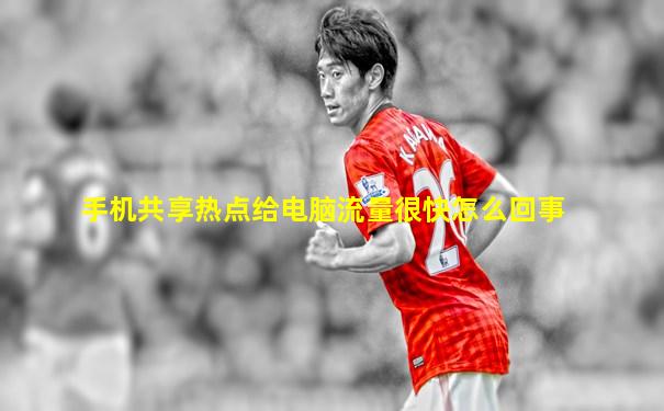 手机共享热点给电脑流量很快怎么回事