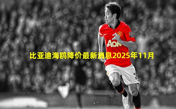 比亚迪海鸥降价最新消息2025年11月