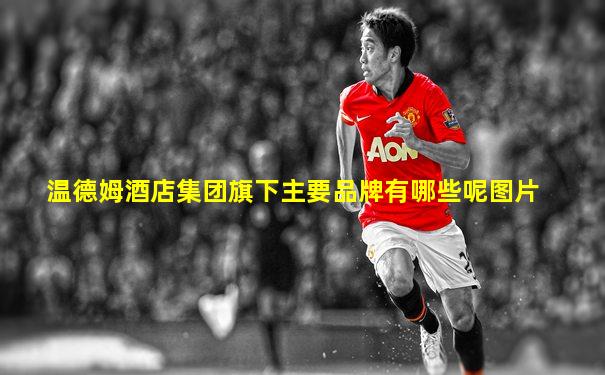 温德姆酒店集团旗下主要品牌有哪些呢图片