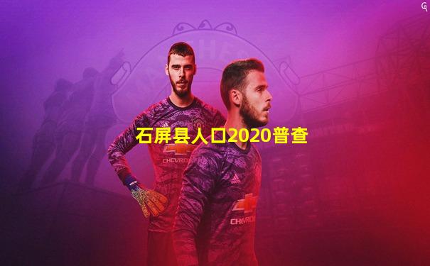 石屏县人口2020普查