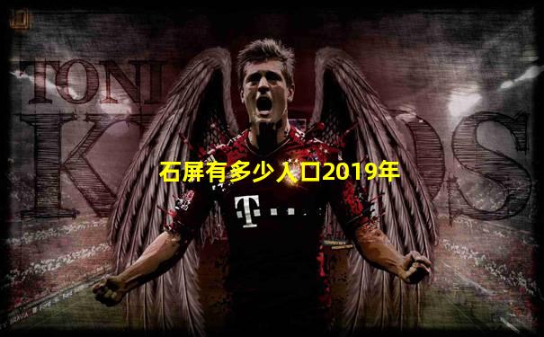 石屏有多少人口2019年
