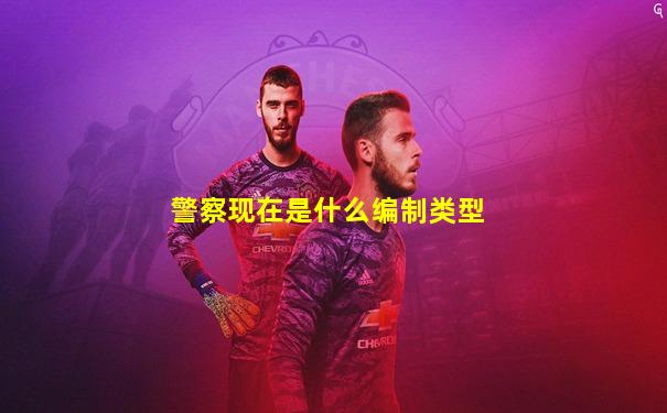 警察现在是什么编制类型