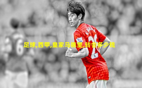 足球,西甲,皇家马德里,转会多少钱